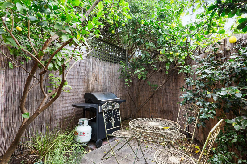 showing the courtyard garden